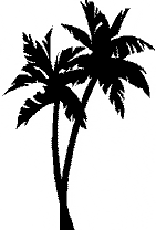 Palm (gif)
